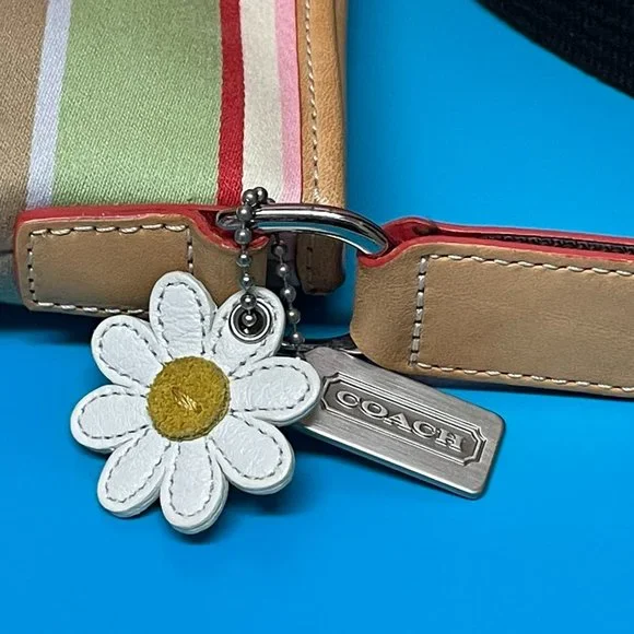 COACH Crossbody Multicolor Canvas Brown Leather Striped Daisy *EUC* SO PRETTY!! - Picture 4 of 11
